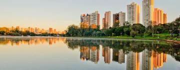 Férias baratas em Londrina