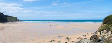 Hoteles que admiten mascotas en Mawgan Porth