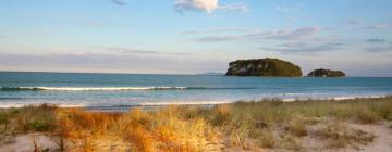 Hotels with Parking in Whangamata