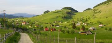 Hotely s parkováním v destinaci Şirnea