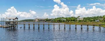 Hotels in Steinhatchee