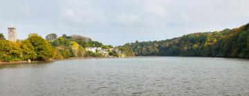 Cottages in Stoke Gabriel