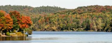 Cottages in Miller Lake