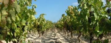 Alquileres temporarios en Baixas