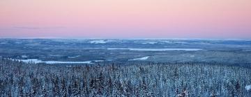 Hoteller med parkeringsplass i Branäs