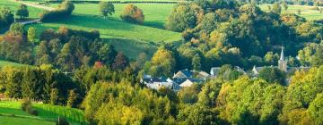 Holiday Homes in Mettet