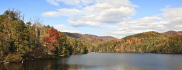 Pet-Friendly Hotels in Ellijay