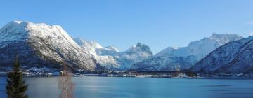 Kjæledyrvennlige hoteller i Isfjorden