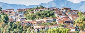 Hoteles que admiten mascotas en Caldas