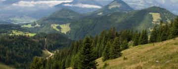Cheap vacations in Miesbach