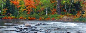 Hoteles con estacionamiento en Haliburton