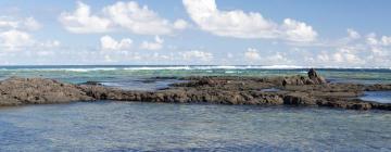 Cottages in Pahoa