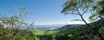 Hotéis em Campos dos Goytacazes