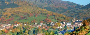 Holiday Rentals in Breitenbach