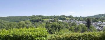 Hoteles que aceptan mascotas en Dulverton