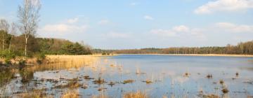 Family Hotels in Leersum