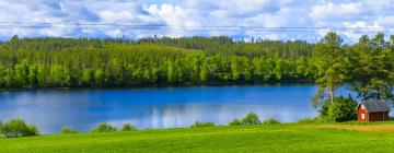 Cottages in Oikarainen