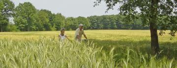 Bed and Breakfasts en Overpelt