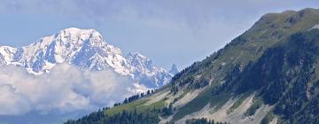 Departamentos en Plagne Bellecote