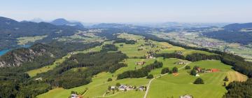 Cheap hotels in Thalgau