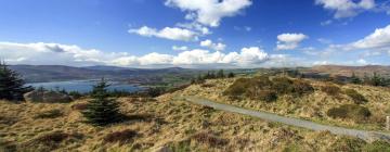 Pet-Friendly Hotels in Rostrevor