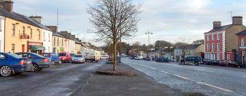 Lavprishoteller i Strokestown