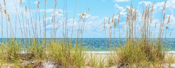 Holiday Rentals in Butler Beach