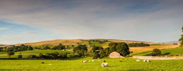 Cottages in Ravenstonedale