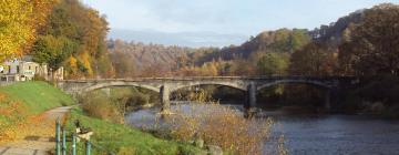 Domy wakacyjne w mieście Comblain-au-Pont