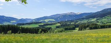 Holiday Rentals in Seckau