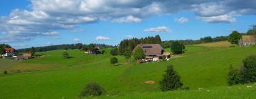 Holiday Rentals in Erlenbach