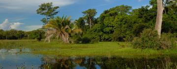 Hoteles en Rondonópolis