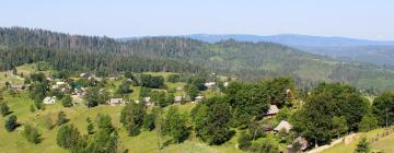 Pet-Friendly Hotels in Volosyanka