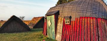 Cabañas y casas de campo en Falen