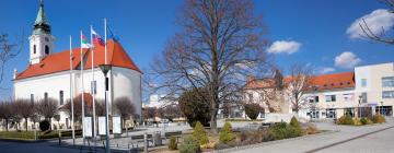 Hotely s parkovaním v Bánovciach nad Bebravou