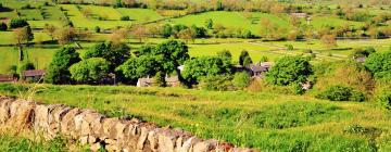 Cottages in Ripley