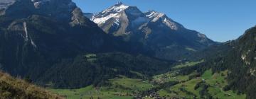 Hotels with Parking in Gsteig