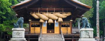 Cottages in Shimo-suwa