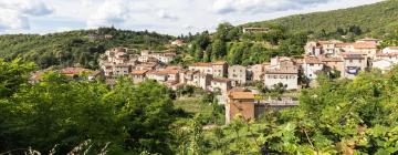 Pet-Friendly Hotels in Bagnoli