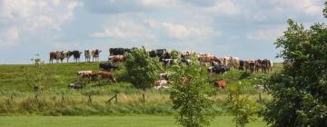 Ferienhäuser in Anjum