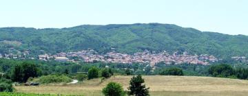 Hotels in Poligiros