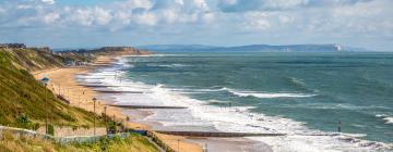 Hoteles que aceptan mascotas en Southbourne