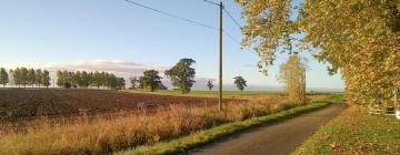 Cottages in Stowmarket