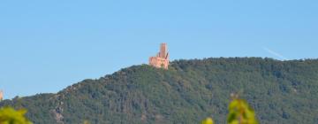 Hoteluri în Ramstein-Miesenbach