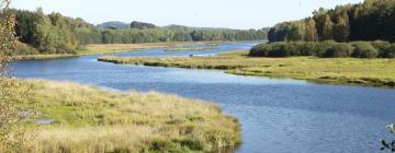 Отели с парковкой в городе Dolní Vltavice