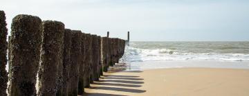 Alloggi vicino alla spiaggia a Groot-Valkenisse