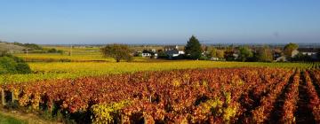 Familiehoteller i Chassagne-Montrachet