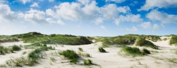 Ferienwohnungen in Oostduinkerke-Bad