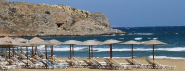 Holiday Rentals in Elia