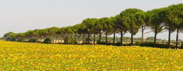 فنادق مع موقف سيارات في Fiorino